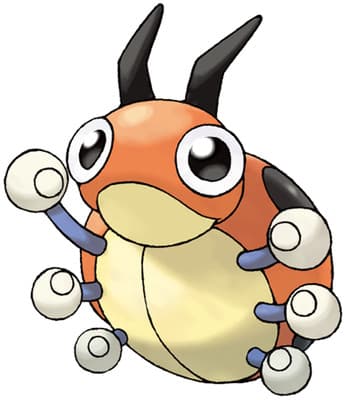 ledyba